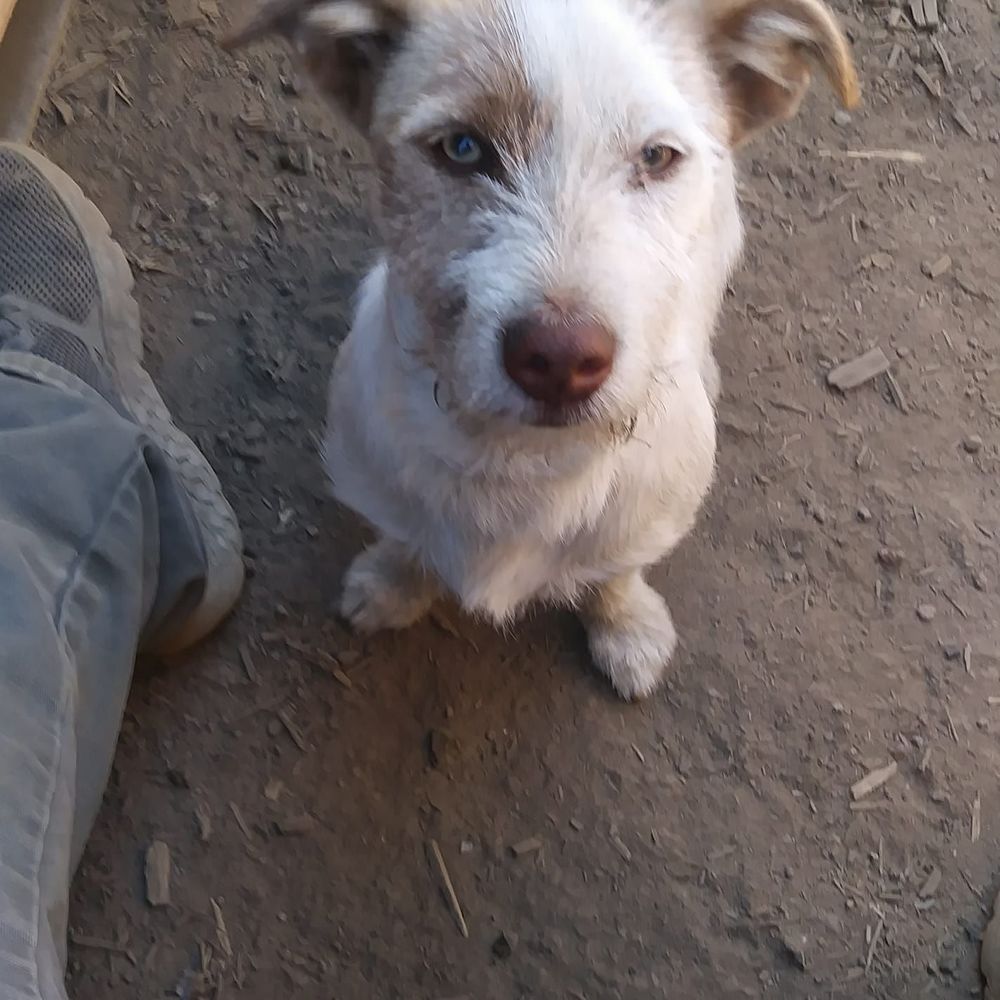 Meet your Posher, Ruiz